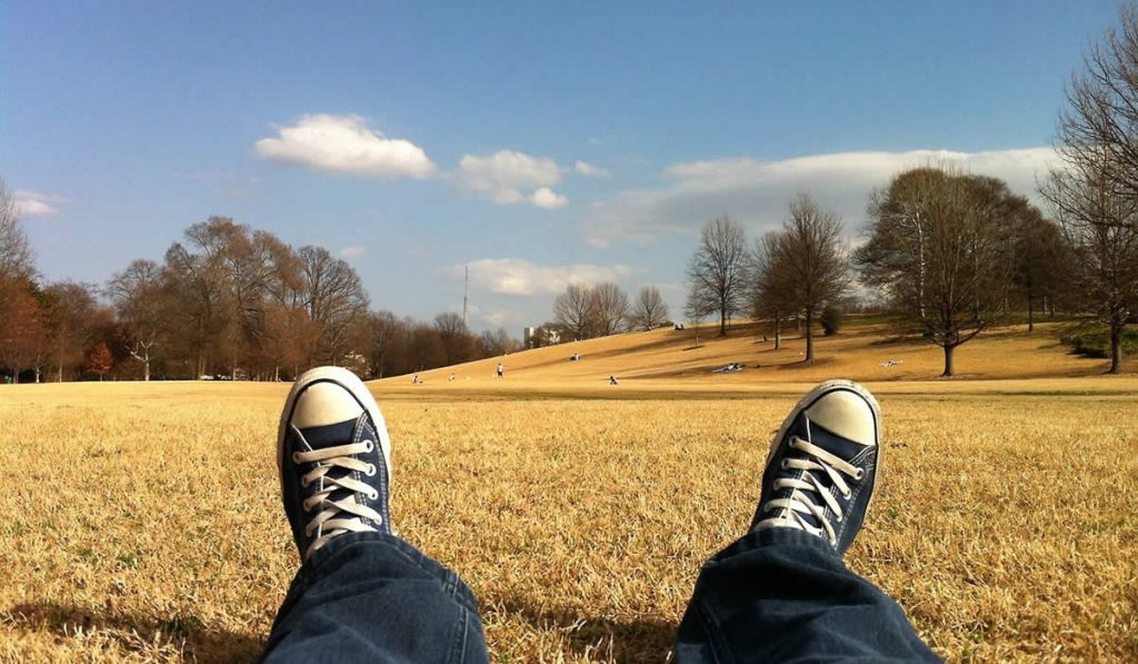 Chillaxing In The Field