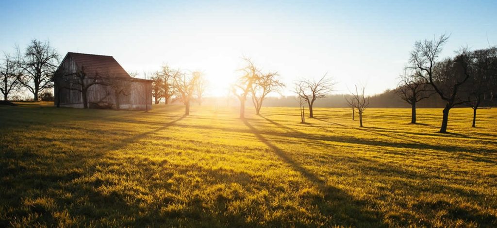 Country Living Made Simple